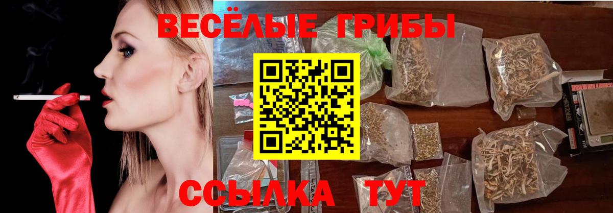 Гуково  Псилоцибиновые грибы GOLDEN TEACHER  Вход с VPN 