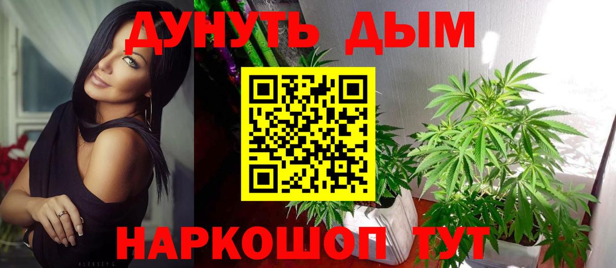 Шишки марихуана план  Вход с VPN  Марихуана Ganja  Бошки Шишки конопля  МАРИХУАНА THC 21%  Гуково 